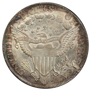 Draped Bust Heraldic Eagle reverse