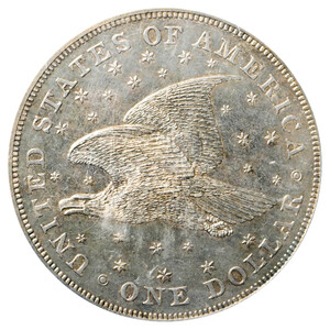 Gobrecht reverse